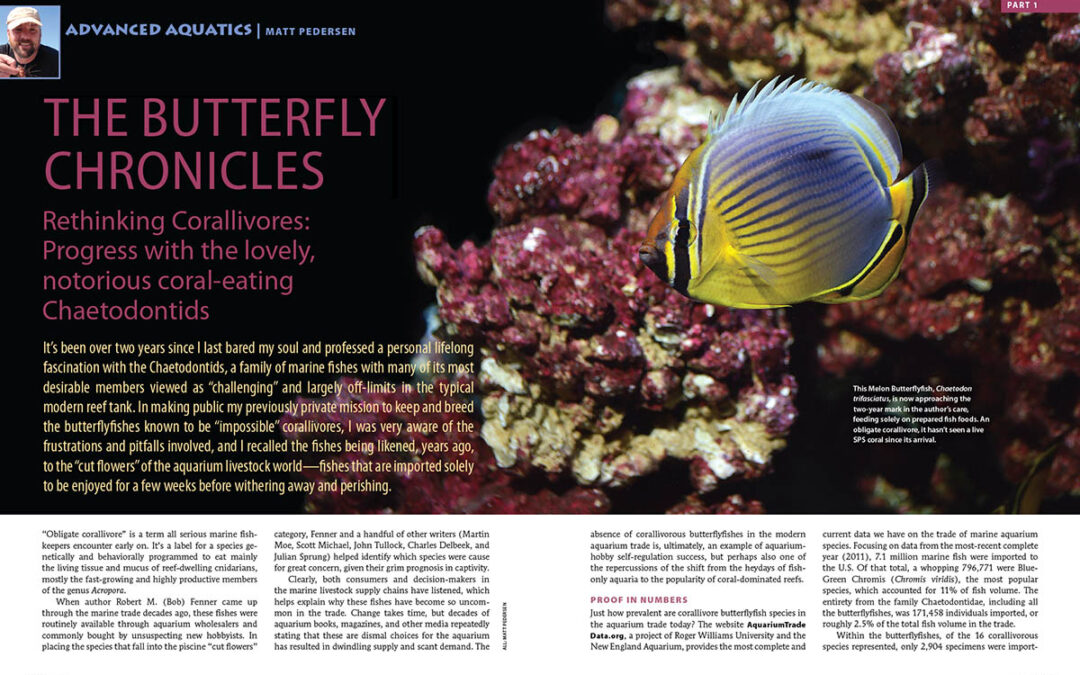 CORAL Excerpt: The Butterfly Chronicles, Part 1