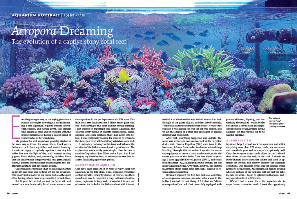 Experience the evolution of Robert Haase's captive stony coral reef in this issue's Aquarium Portrait: Acropora Dreaming.