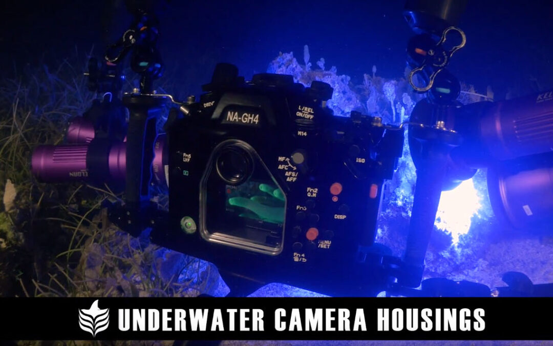 VIDEO: Underwater Camera Housing Selection