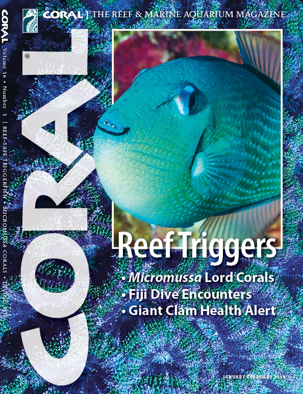 The cover of CORAL Magazine Volume 16, Issue 1 – REEF TRIGGERS – January/February 2019. On the cover: A female Bluethroat Triggerfish, Xanthichthys auromarginatus, by award-winning Australian photographer Gary Bell, OceanWideImages.com. In the background, an "Acan Lord", Micromussa lordhowensis, by Daniel Knop.