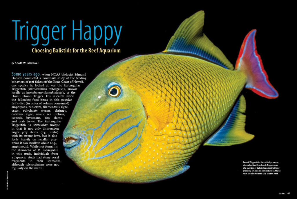 Scott Michael is Trigger Happy when it comes to choosing Balistids (Triggerfishes) suitable for reef aquariums. Find out why some species of these seemingly out-of-place predators may, in fact, be welcomed reef-safe residents of your reef tank.