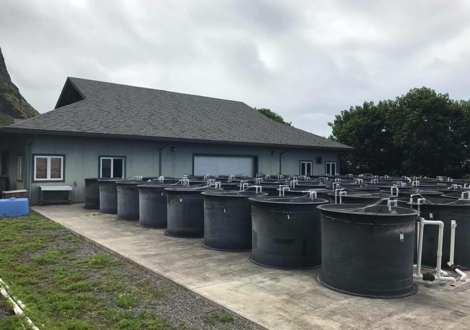 Biota Announces New Hawaiian Aquaculture Facility