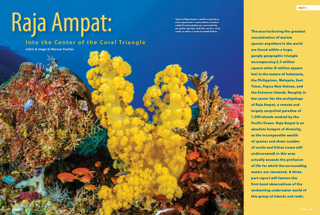 Werner Fiedler takes you on a journey to Raja Ampat, in the center of the Coral Triangle; the first installment of a 3-part series.