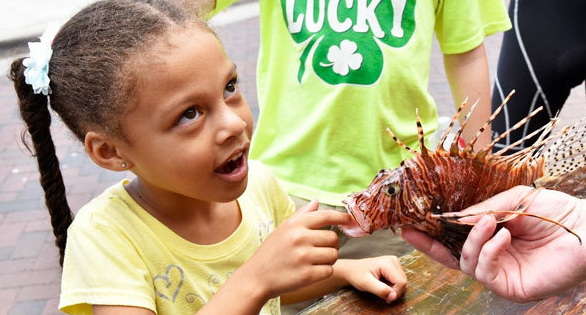 Invasive Lionfish? Delicious! says the State of Florida