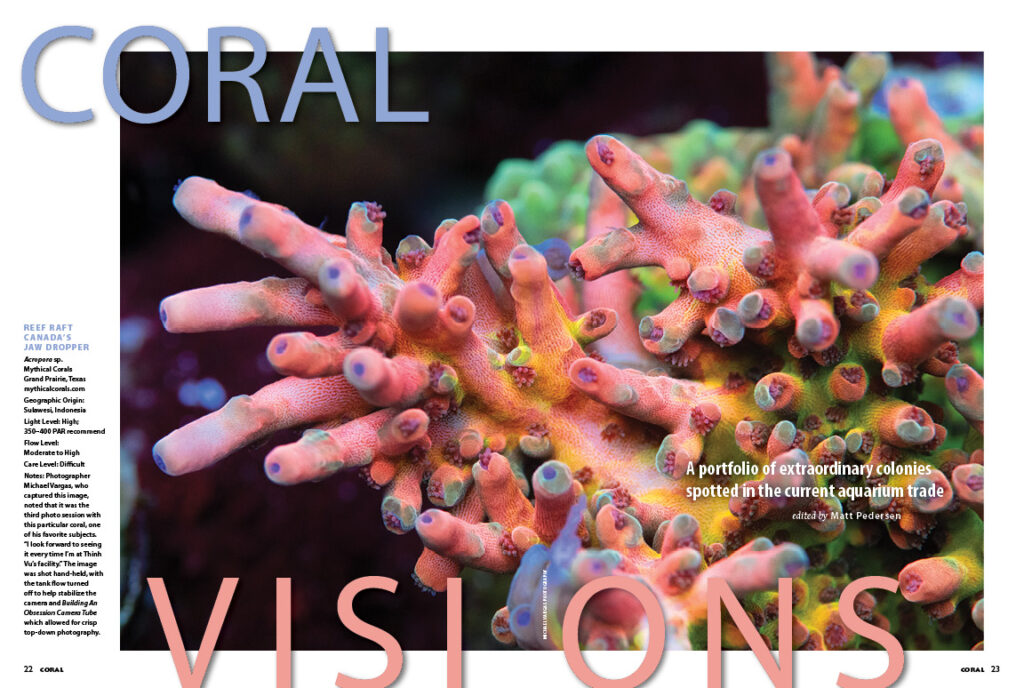 Our CORAL VISIONS column returns with a splash this issue, opening with Michael Vargas' stunning photograph of a Reef Raft Canada Jaw Dropper Acropora at Mythical Corals. Turn the pages to see what other amazing coral selections grace the pages this issue!