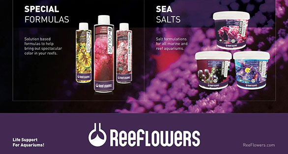 ReeFlowers Marine Supplements U.S. Debut