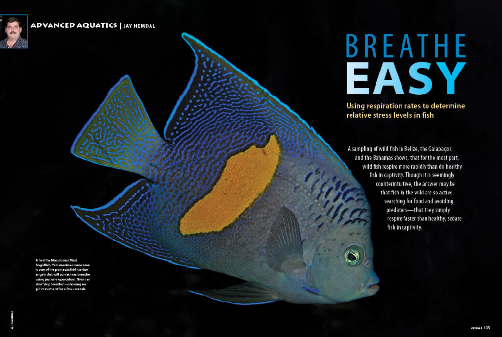 What does it mean to say a fish is "breathing rapidly," often one of the first indicators that something has gone awry? Author and veteran public aquarist Jay Hemdal eliminates the guesswork in our ADVANCED AQUATICS feature, "Breathe Easy."