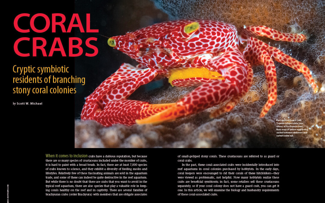 CORAL Magazine New Issue “EXOTIC REEF INVERTEBRATES!” Inside Look