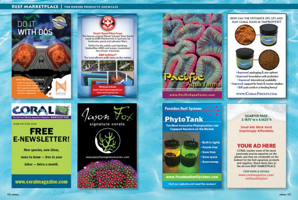Get your message to the full CORAL audience—print and digital—with efficient quarter-page ads in Reef Marketplace.