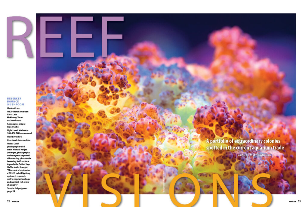 REEF VISIONS returns with a visual feast of oddities and rarities sure to delight reef aquarists!