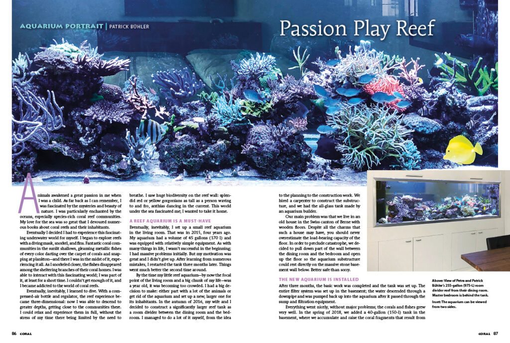 A view of Petra and Patrick Bühler’s 255-gallon (975-L) room divider reef from their dining room; learn more in our Aquarium Portrait, "Passion Play Reef".
