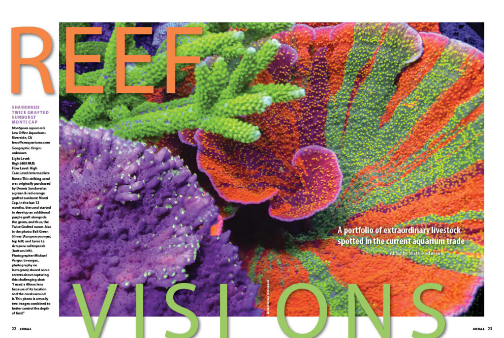 REEF VISIONS returns with a visual feast of rarities and oddities sure to delight reef aquarists.