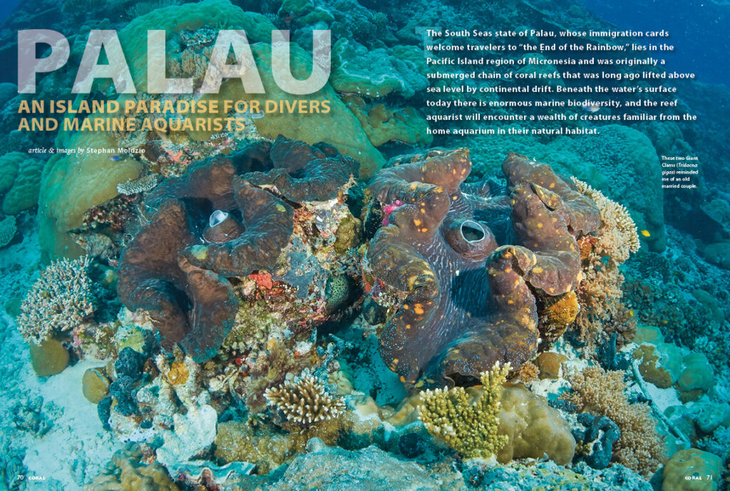 Palau: An Island Paradise for Divers and Marine Aquarists. Join author Stephan Moldzio as he takes you to the "end of the rainbow" in Micronesia's tropical Pacific waters.