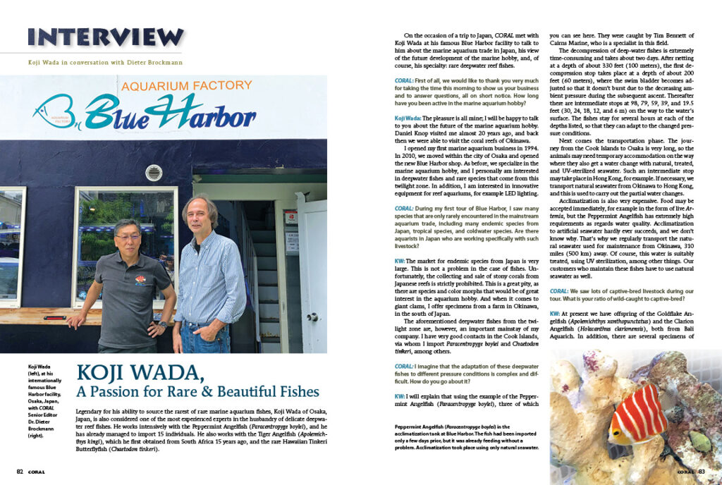 Legendary for his ability to source the rarest of rare marine aquarium fishes, Koji Wada of Osaka, Japan, is also considered one of the most experienced experts in the husbandry of delicate deepwater reef fishes. Meet the man of legend in Dieter Brockmann's exclusive interview of Koji Wada for CORAL Magazine.