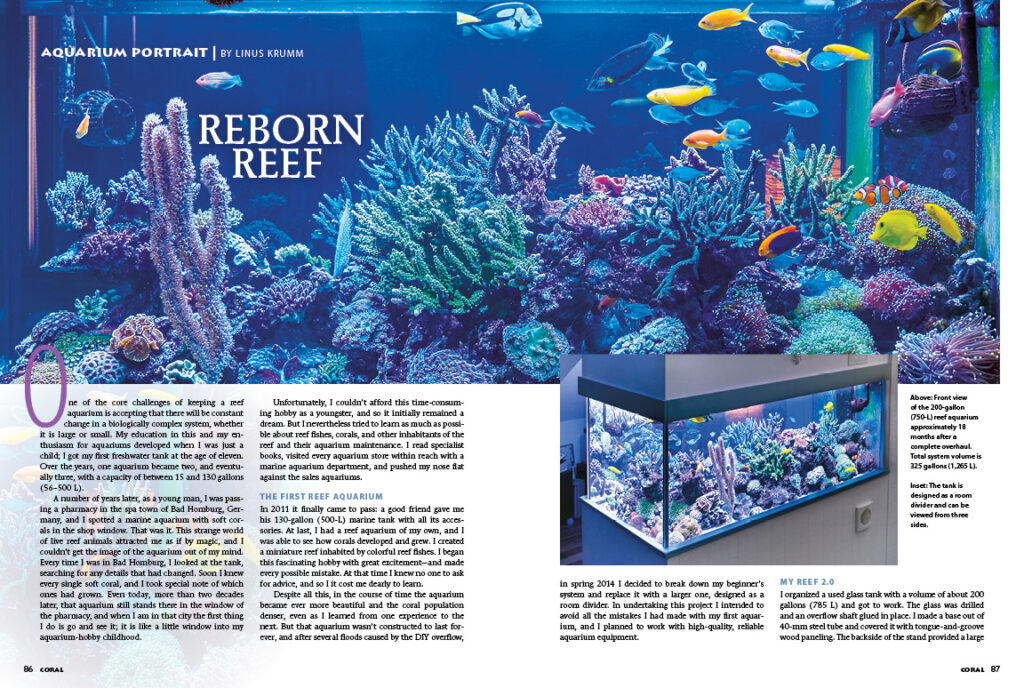 Get a glimpse into the stunning room divider reef tank of Linus Krumm in this issue's Aquarium Portrait. 