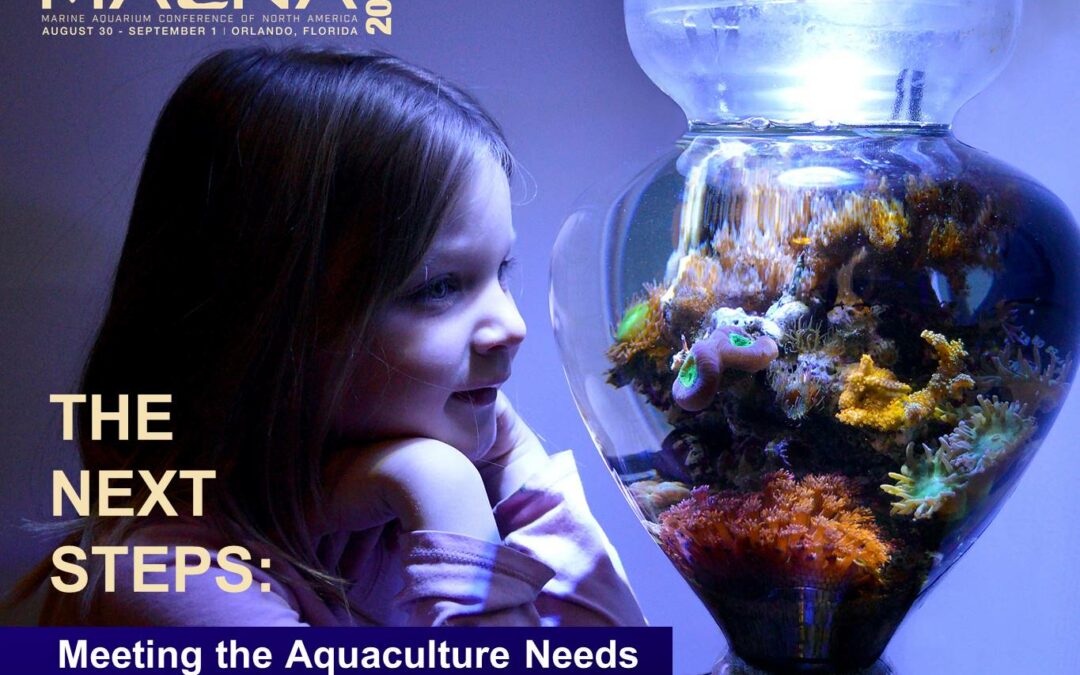 VIDEO: Meeting the Aquaculture Needs of Your Local Fish Store