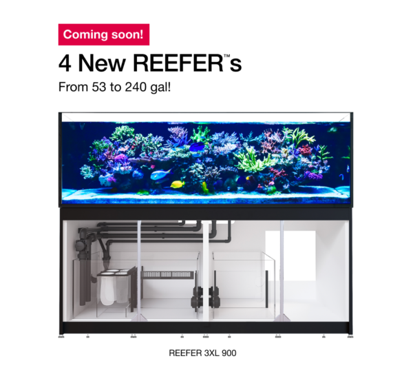 Get a glimpse at the new flagship 240 gallon Red Sea Reefer 3XL 900, one of 4 new models announced by Red Sea.