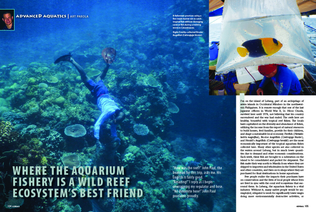 "Few people realize the impacts their purchases have on conservation and the lives of local people whose lives are lived in sync with the coral reef ecosystems that surround them," writes Art Parola in his report from the Philippines entitled "Where the Aquarium Fishery is a Wild Reef Ecosystem's Best Friend."