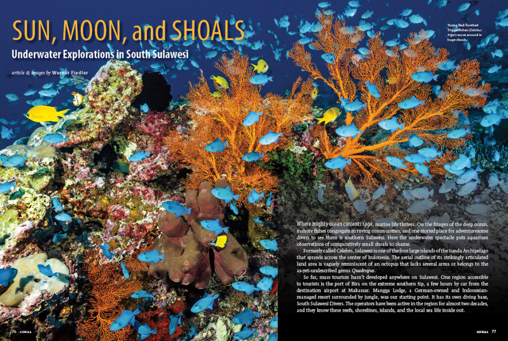 Where mighty ocean currents rage, marine life thrives. On the fringes of the deep ocean, inshore fishes congregate in roving communities, and one storied place for adventuresome divers to see them is southern Sulawesi. Journey there with this travelogue from Werner Fiedler.