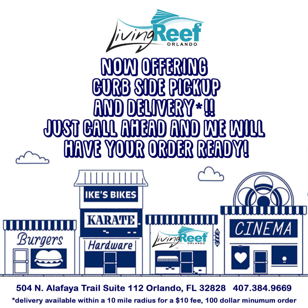Living Reef Orlando adopts curbside pickup and delivery options.
