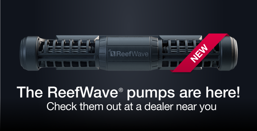 Red Sea's ReefWave – Silent. Smart. Powerful
