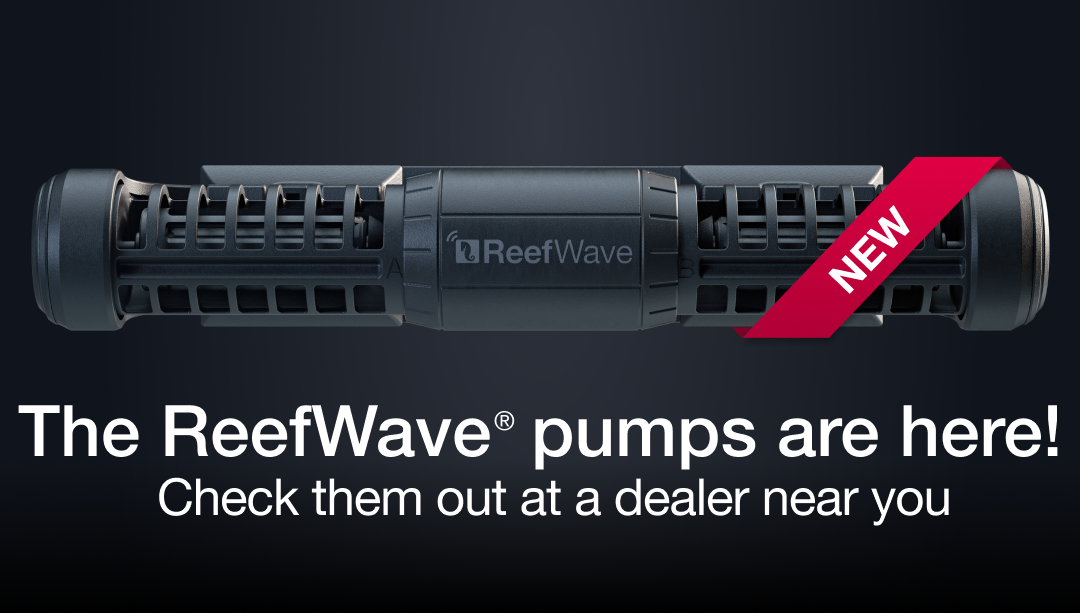 VIDEO: Red Sea’s New ReefWave Pumps Are Here