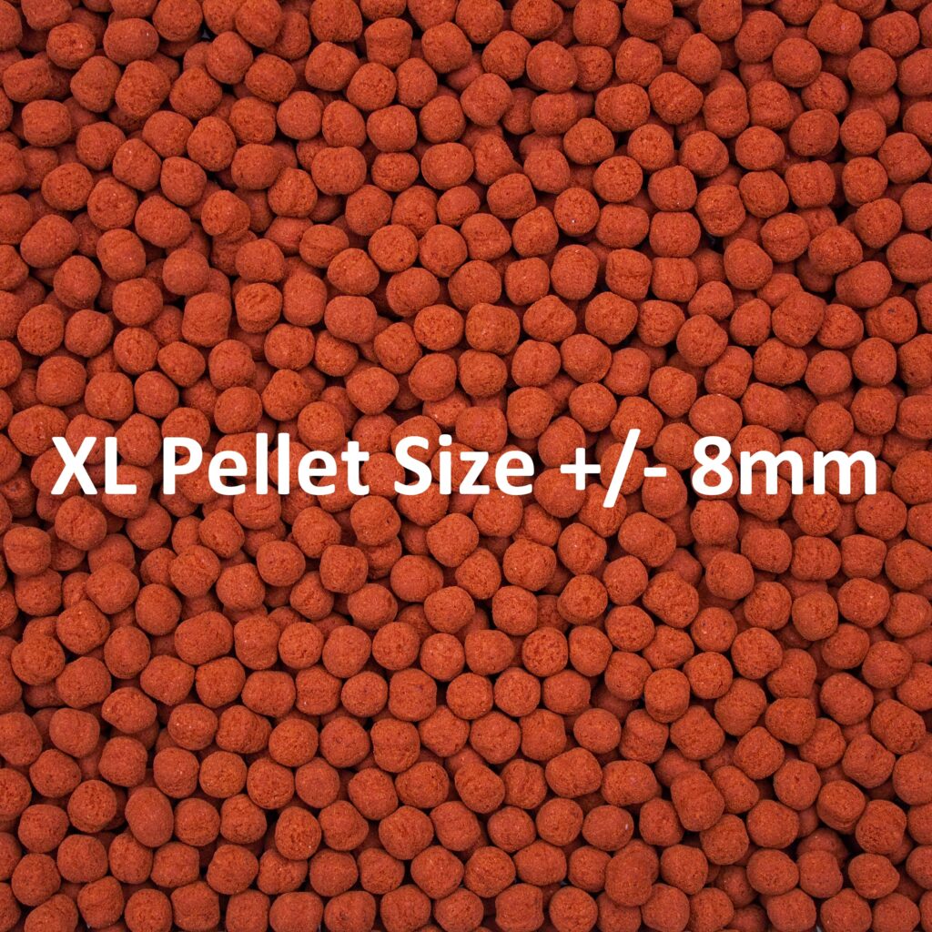 Extra Large Formula One Pellets are roughly 8 mm, or 1/4", in diameter.