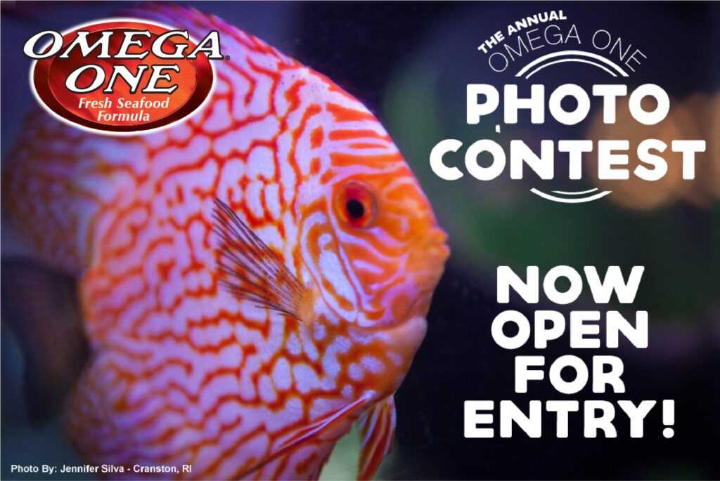 Enter now at https://www.omegasea.net/photo-contest!