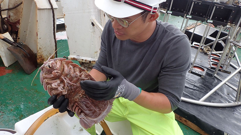 Research associate Muhammad Dzaki Bin Safaruan holds up a giant isopod, Bathynomus raksasa, onboard the Indonesian research vessel Baruna Jaya VIII during the expedition