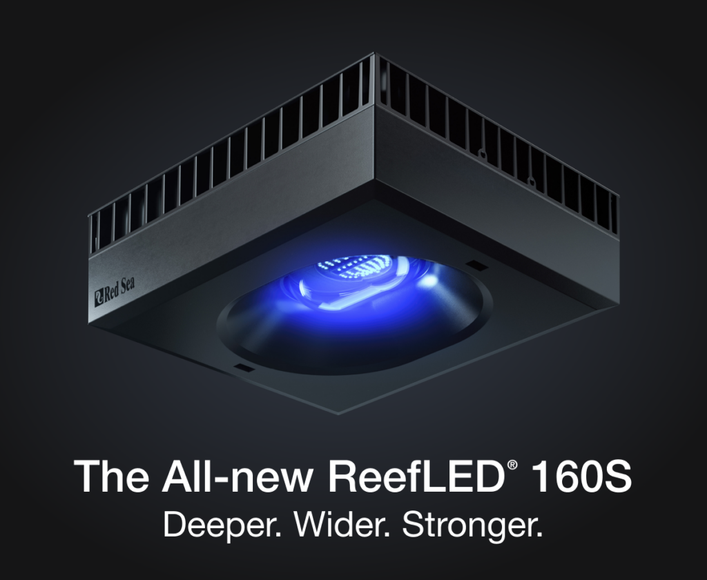 Red Sea's newest ReefLED respresents 160 watts capable of effectively illuminating a 32" (80 cm) cube volume of reef aquarium!