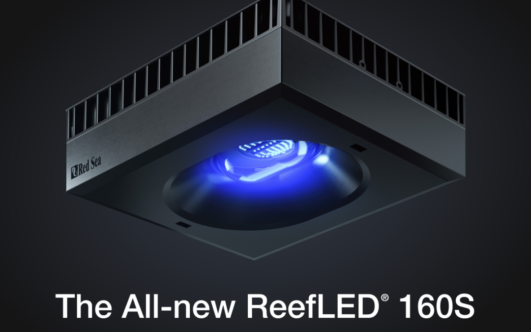 VIDEO: Introducing the ReefLED 160S