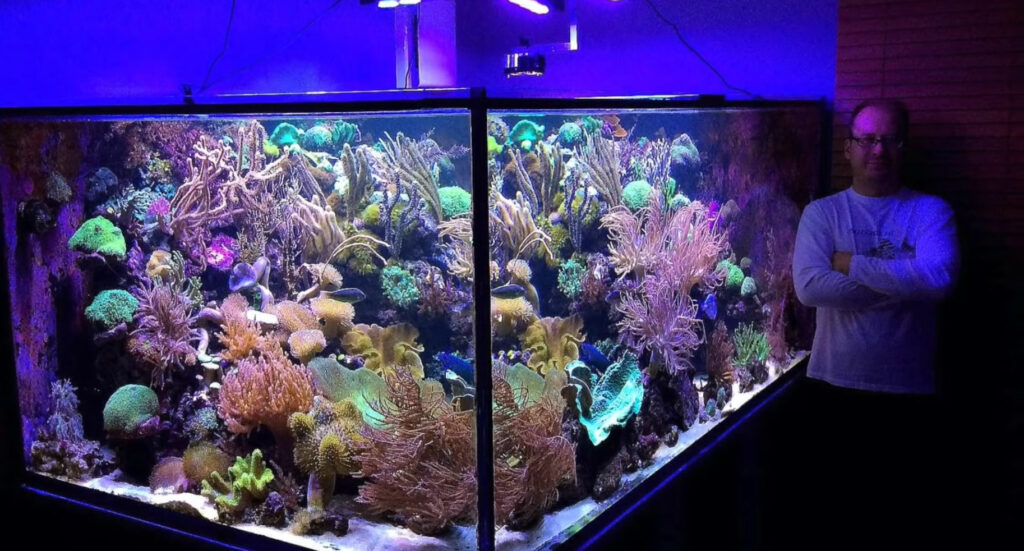 Aquariums eau de mer - Coral Farm Switzerland