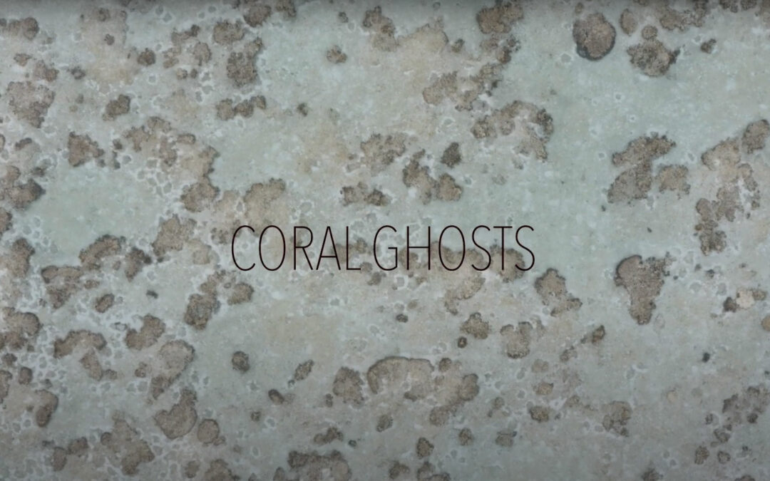 Coming Soon: Coral Ghosts