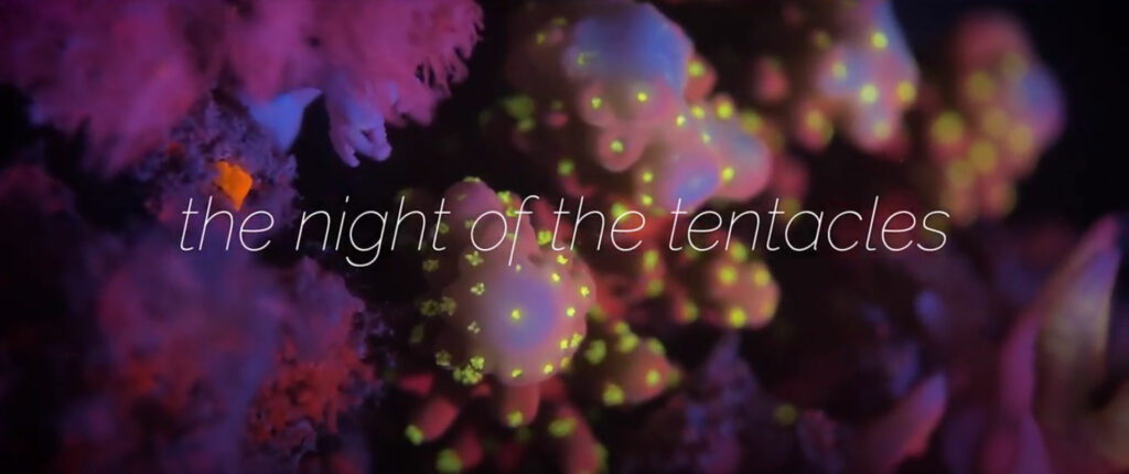 The Night of the Tentacles is the latest video offering from the creative minds at Reef Patrol.