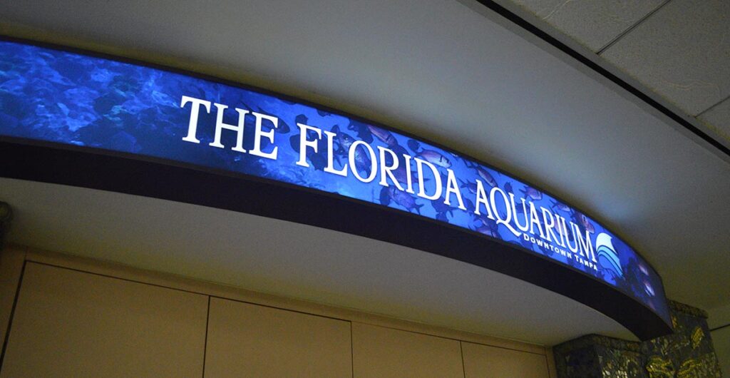 The display is meant to entice visitors to The Florida Aquarium, nearby in Tampa, FL.