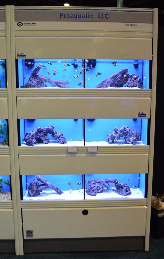 The Proaquatix display at the Global Pet Expo in 2020. Proaquatix distributes the captive-bred marine fish they produce in Vero Beach, FL, to countries around the globe, including the EU and UK.