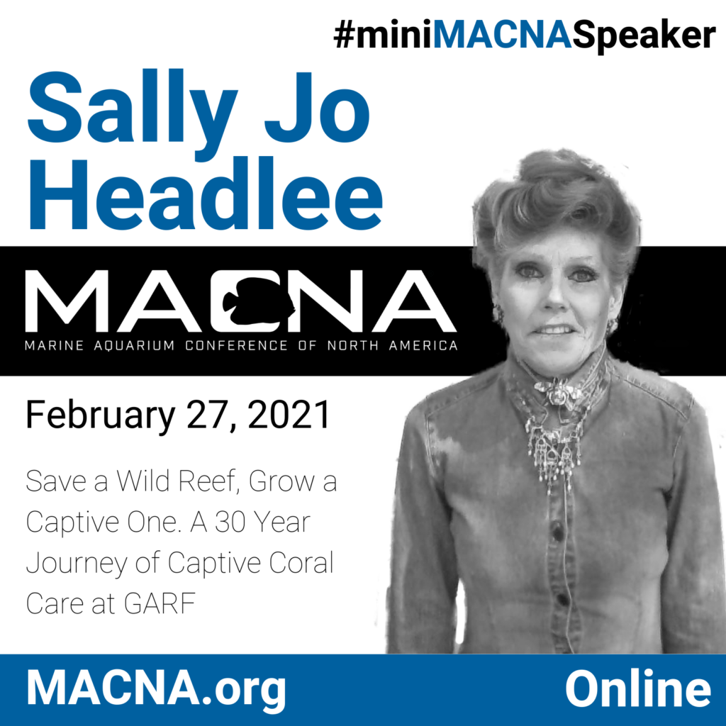 Sally Jo Headlee headlines as the first speaker for mini MACNA 2021
