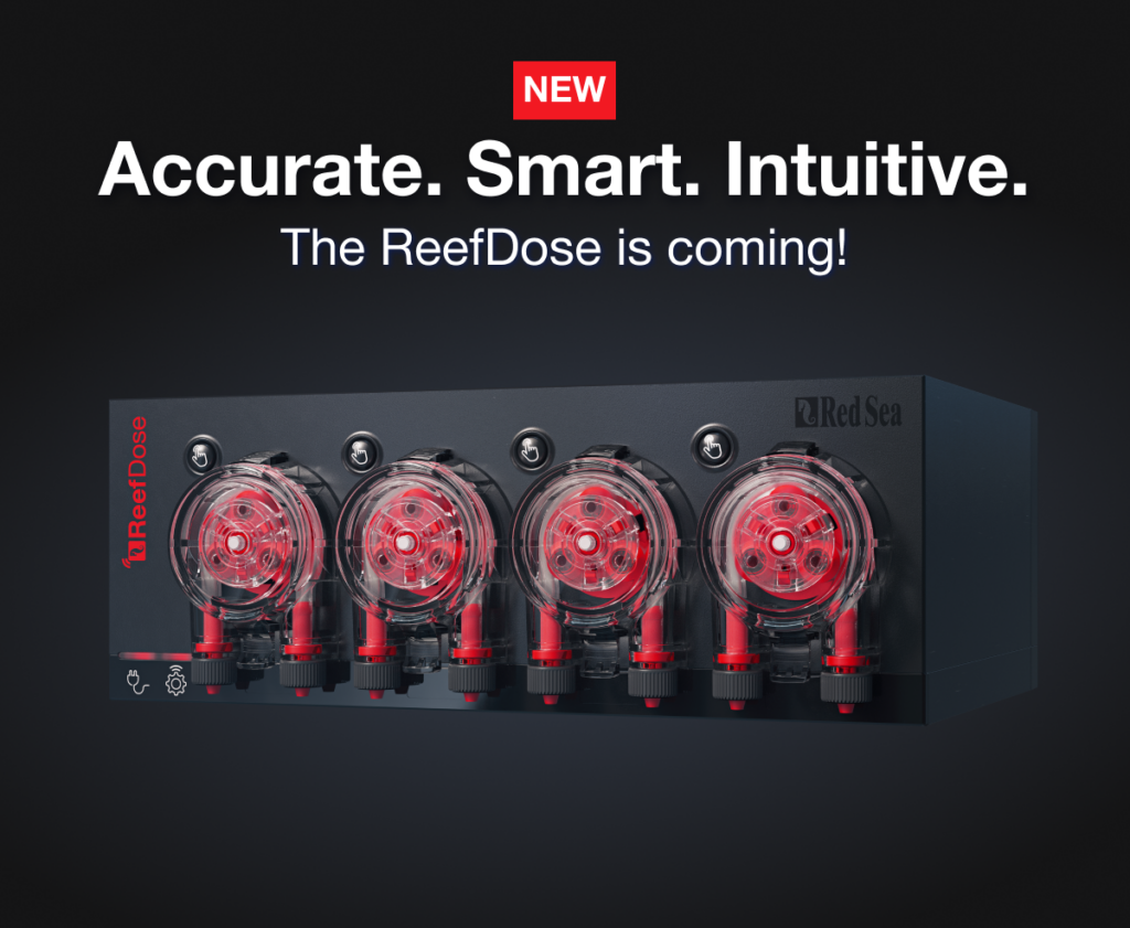Accurate. Smart. Intuitive. The ReefDose dosing pump system is coming, from Red Sea.