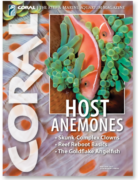CORAL Magazine Volume 18, Issue 3, Host Anemones