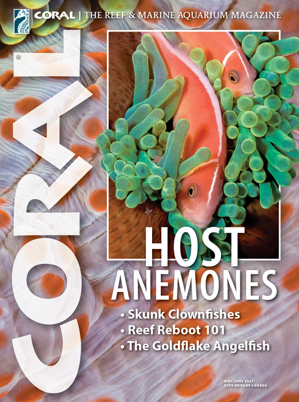 Click cover to order this back issue for your CORAL collection.