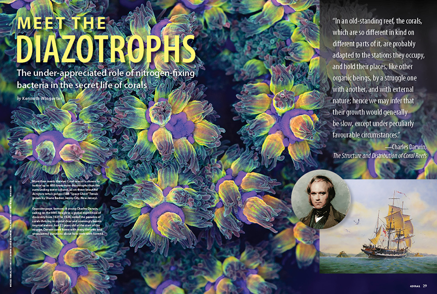 CORAL New Issue “REEF MICROBIOMES” Inside Look