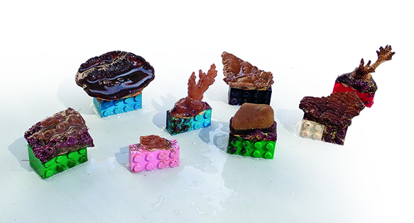 LEGO to the Reef Restoration Rescue