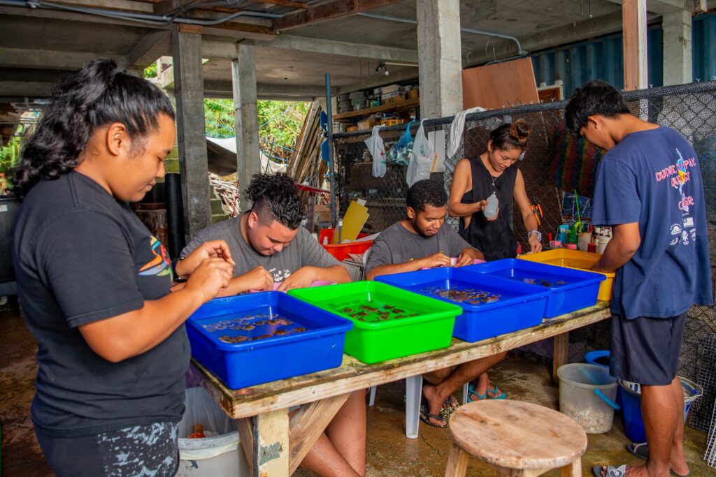 Some of the coral farming team at Biota Palau.
