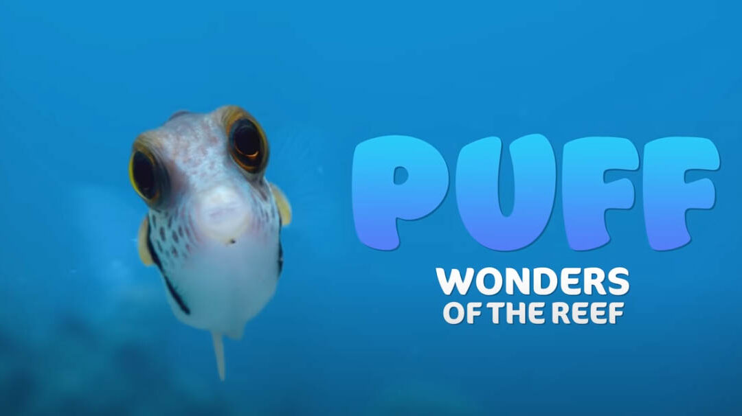 VIDEO: Watch the Trailer for PUFF