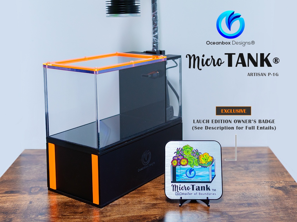 MicroTank Artisan P1-G is Oceanbox Design's tiny 1-gallon wonder