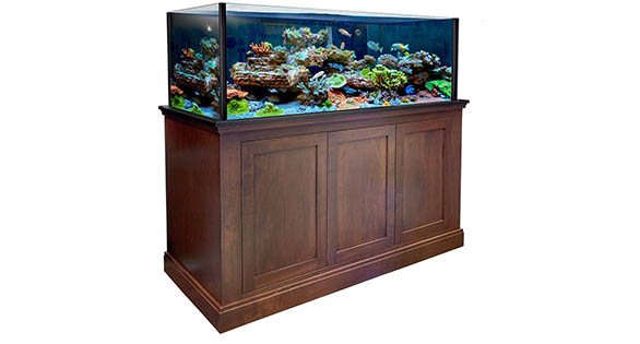 BRS Showcases New Luxury Reef Aquarium Combo