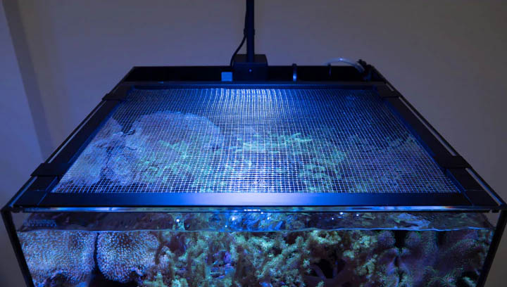 Waterbox Aquariums Introduces Recessed Screen Aquarium Lids - CORAL Magazine