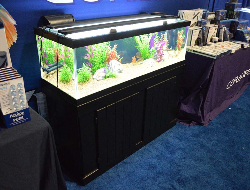 The 60-gallon breeder, on display at the Aquatic Expo.