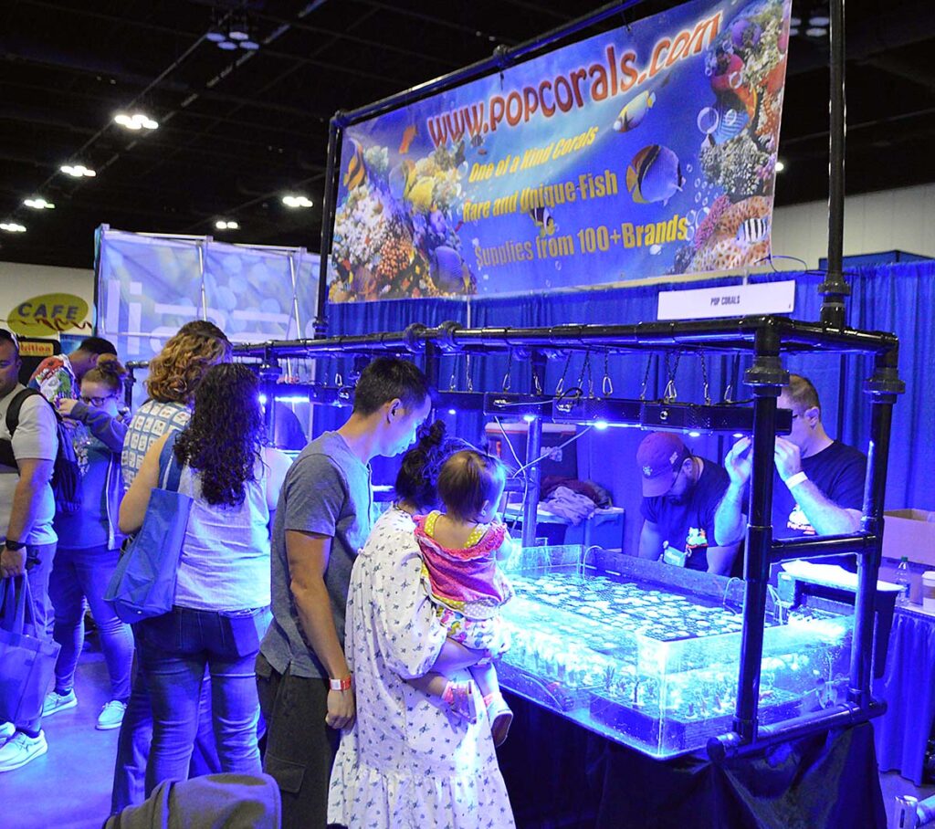 Everyone was shopping for corals, which kept vendors like Pop Corals busy most of the weekend.