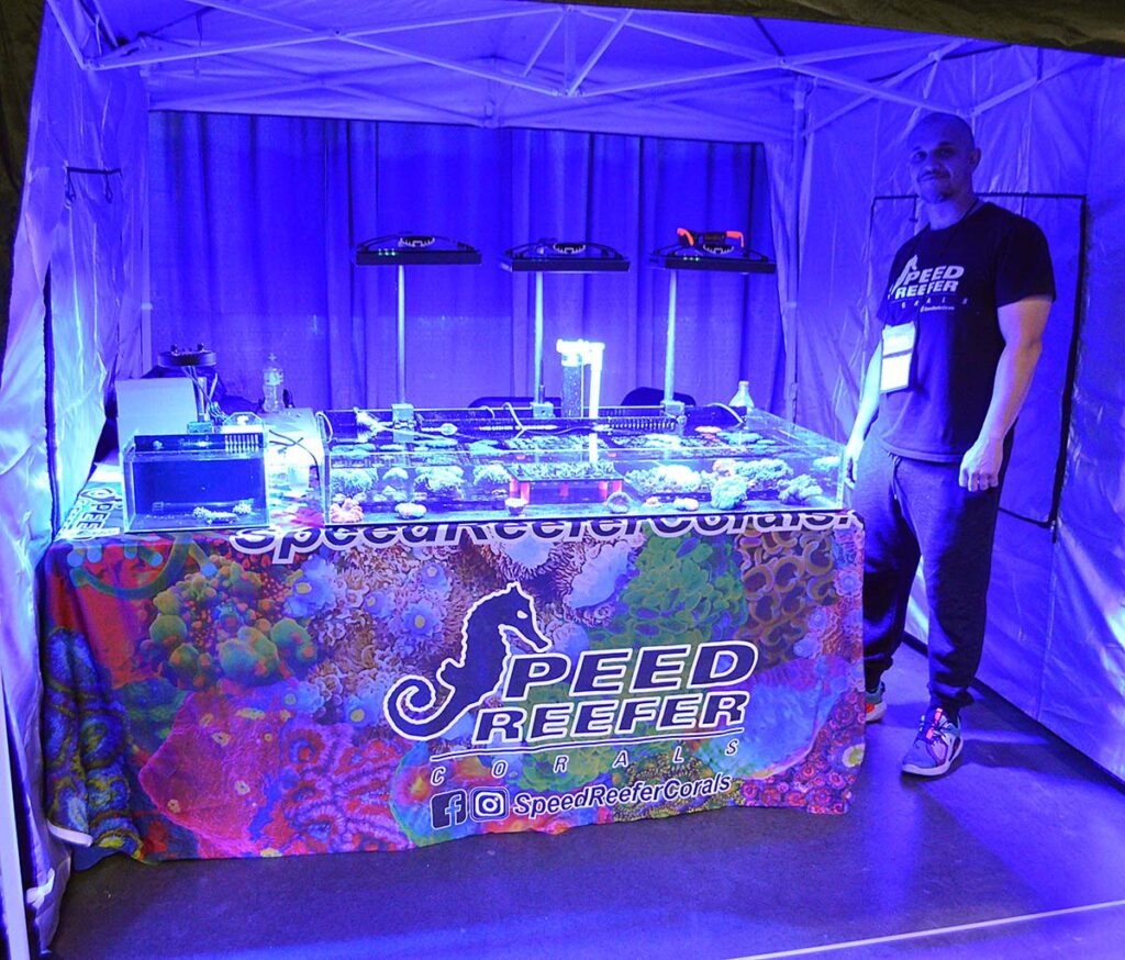 Towards the end of the show, we got to take a quick look at Speed Reefer Corals.